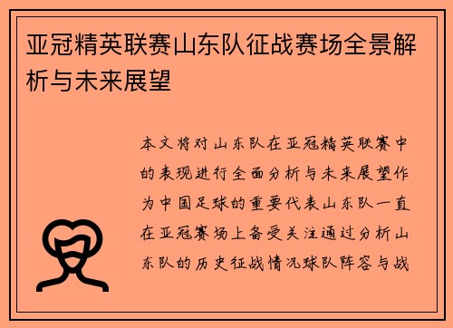 亚冠精英联赛山东队征战赛场全景解析与未来展望
